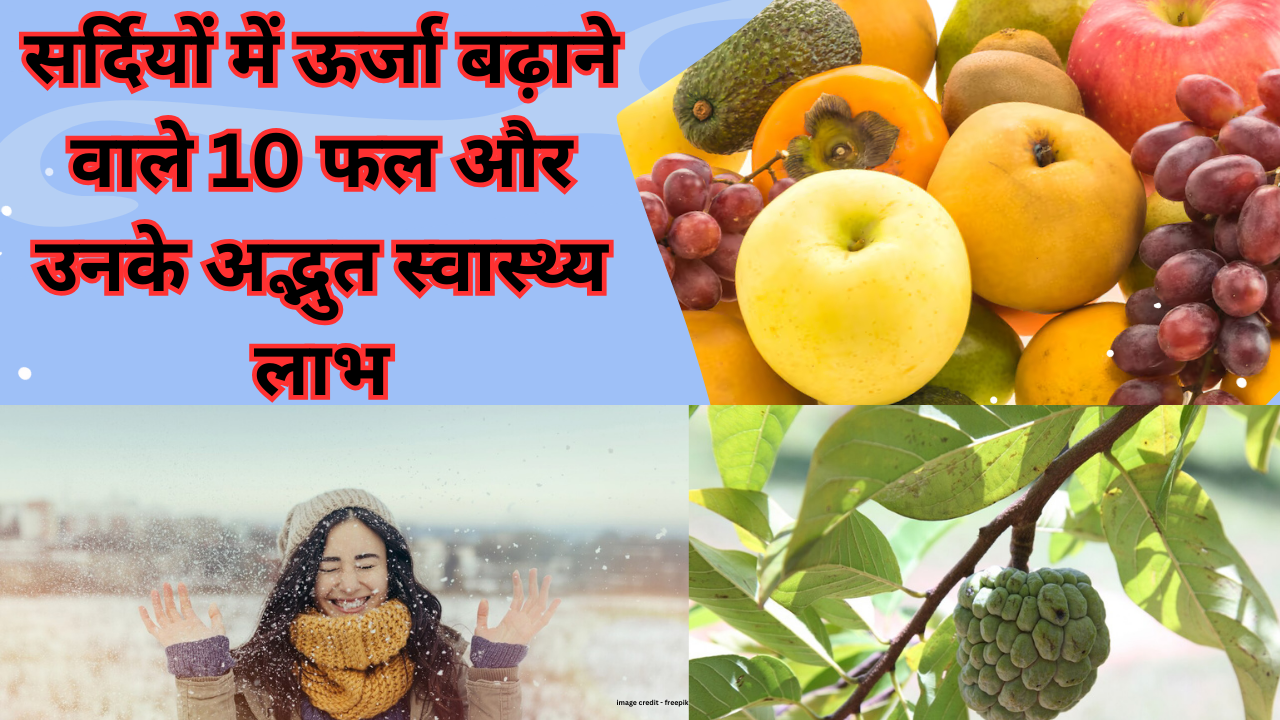 Winter fruits:सर्दियों में ऊर्जा बढ़ाने वाले 10 फल और उनके अद्भुत स्वास्थ्य लाभ