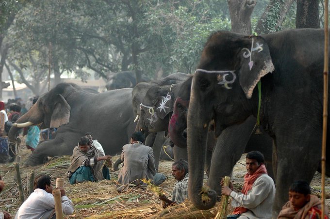 बिहार में ये 10 सबसे खुबसूरत और आकर्षक जगह घूमना न भूले !