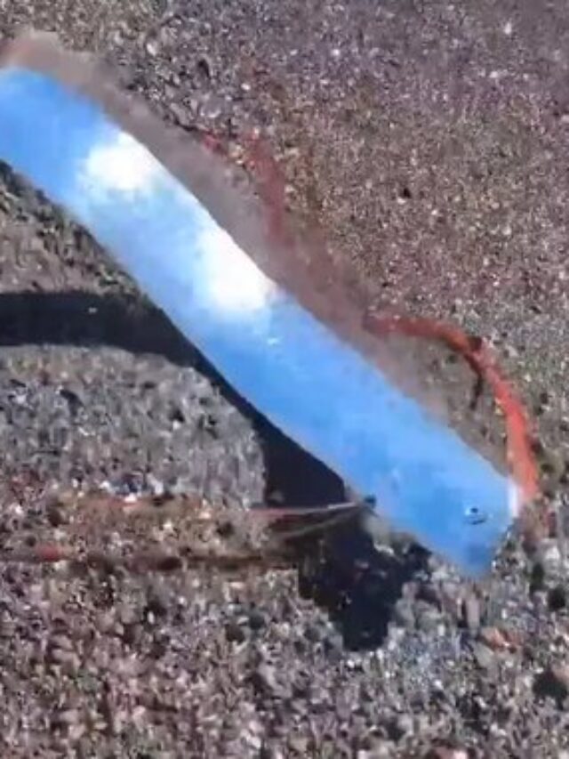 Oarfish दुनिया की सबसे दुर्लभ मछली